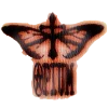 🧛