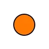🟠