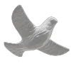 🕊️