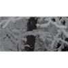 ❄️