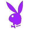 🐰