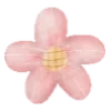 🌸