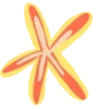 ⭐️