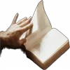 📖