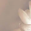 🤩
