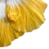 💛
