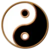 ☯️