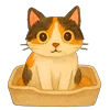 🐱