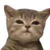 ☺