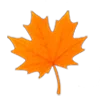 🍁
