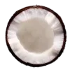 🥥