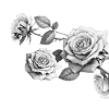 🌹