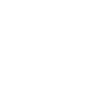 🥇