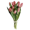 🌷