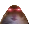 🐹