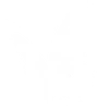 🦋