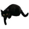 😺