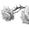 🌹