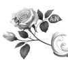 🌹