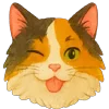 🐱