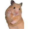 🐹