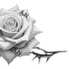 🌹