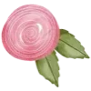 🌸