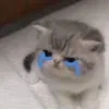 😭