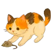 😸