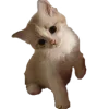👋