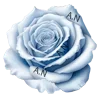 🌹