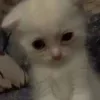 🥴