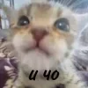 😐
