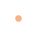 🟠
