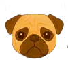 🐶