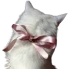 🎀