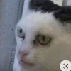 😶