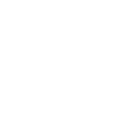 🫁
