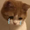 😭