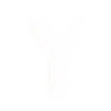 ⚪️