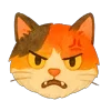 😾