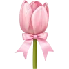 🌷