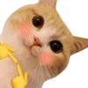 🥹