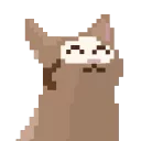 😾