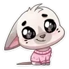🐰