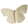 🦋