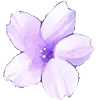 🌸