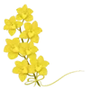 💛