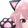 🐈