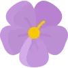 🌺